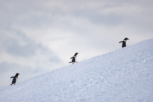 2023 - Antarctica Planning - Camera Edition